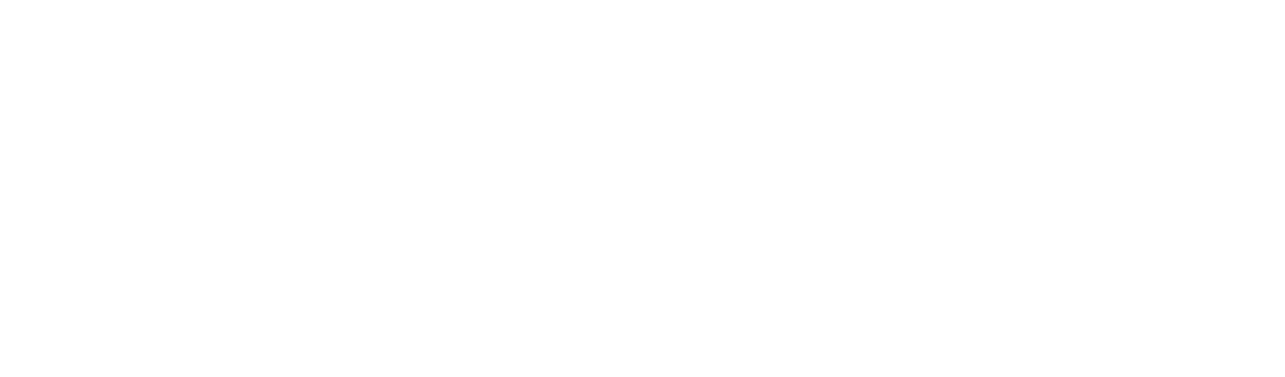 DynaKite®